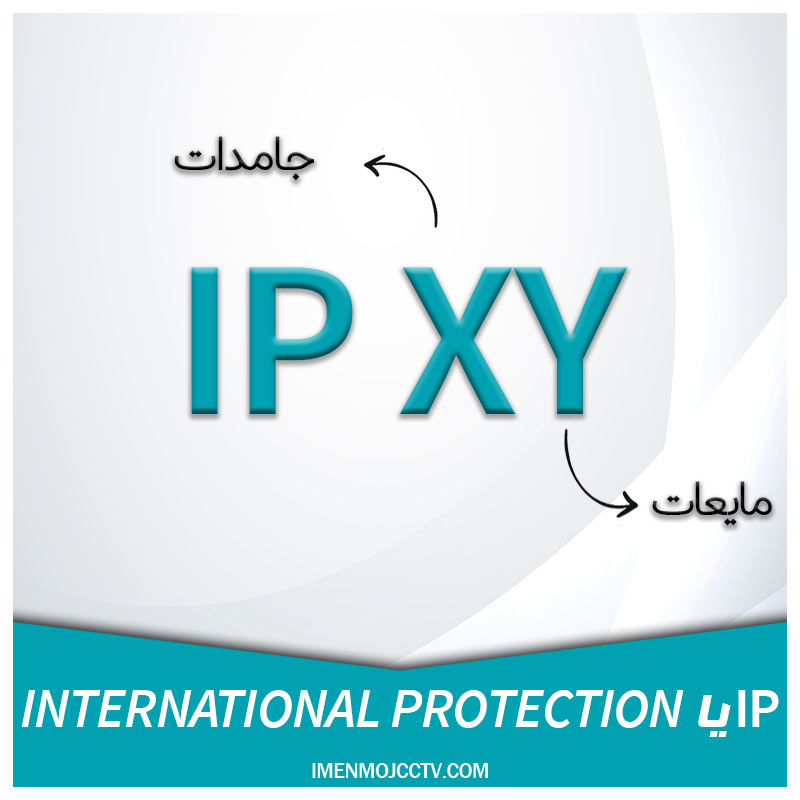 ip&International-Protection